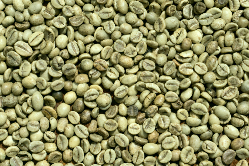 Granos de café crudos