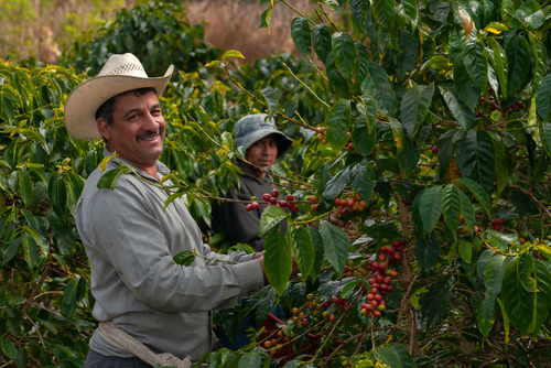 Día de la agricultura