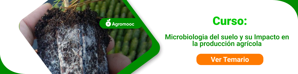 Microbiologia del suelo y su Impacto en la producción agrícola