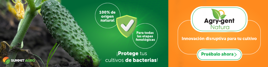 agry gent natura pepino calabacita bacterias
