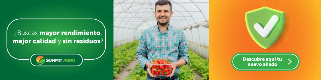 hymexazol cultivo fresas