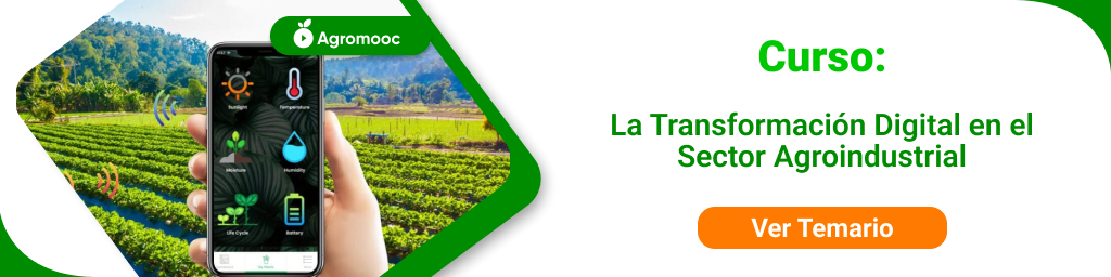 La Trasformación Digital en el Sector Agroindustrial